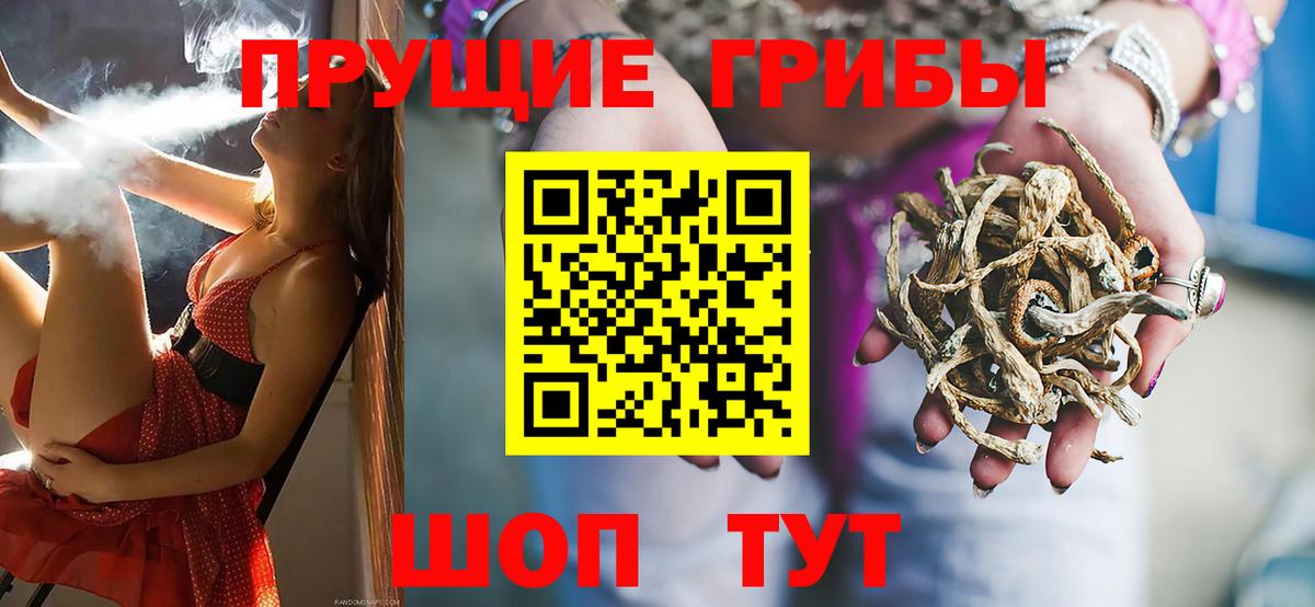 Ачхой-Мартан  Псилоцибиновые грибы Magic Shrooms  Вход с VPN 